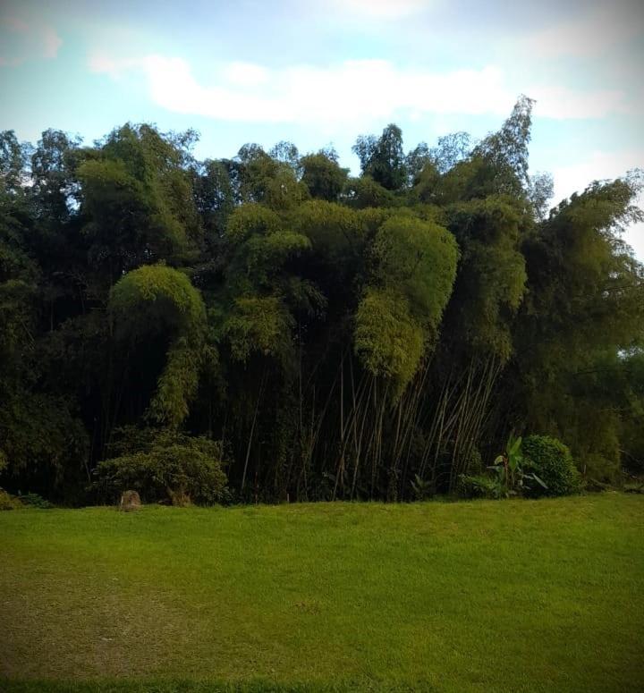 Filandia - Finca Rural La Guadalupana Hotel Buitenkant foto