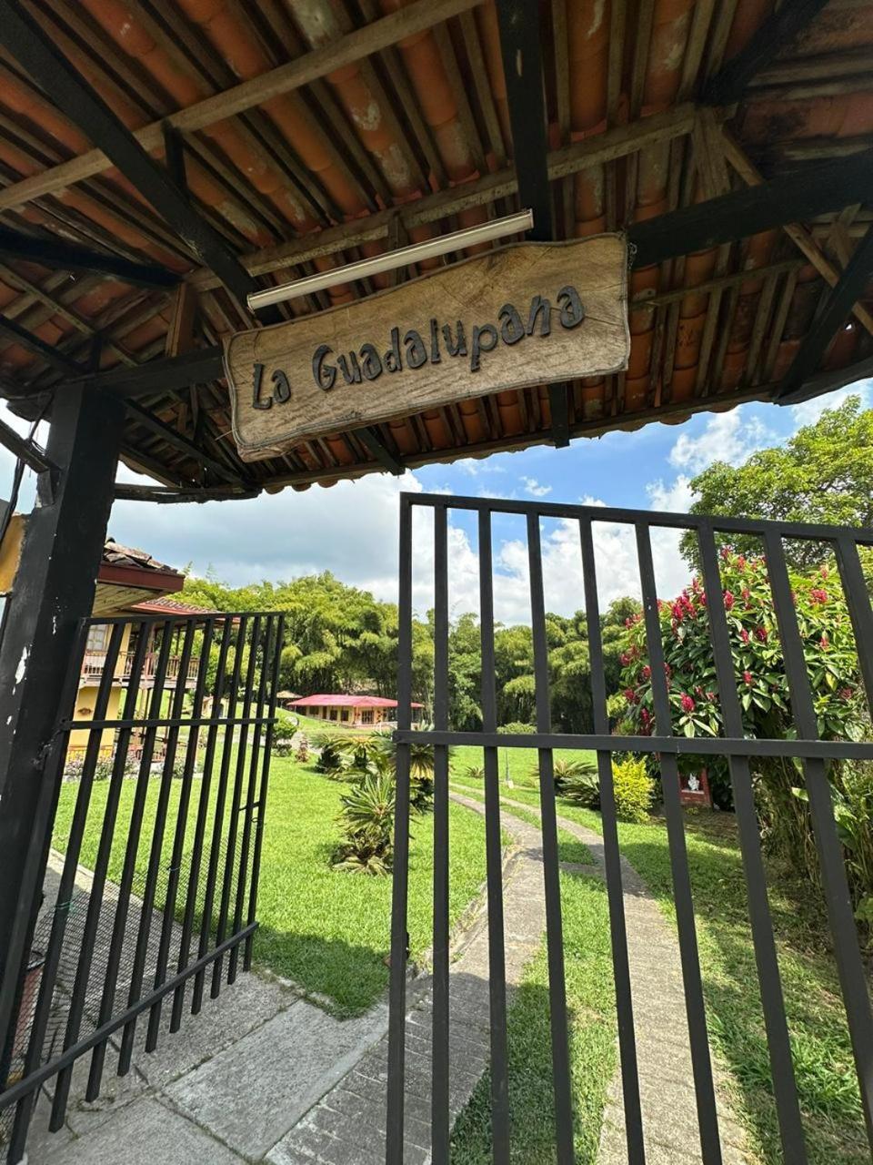 Filandia - Finca Rural La Guadalupana Hotel Buitenkant foto