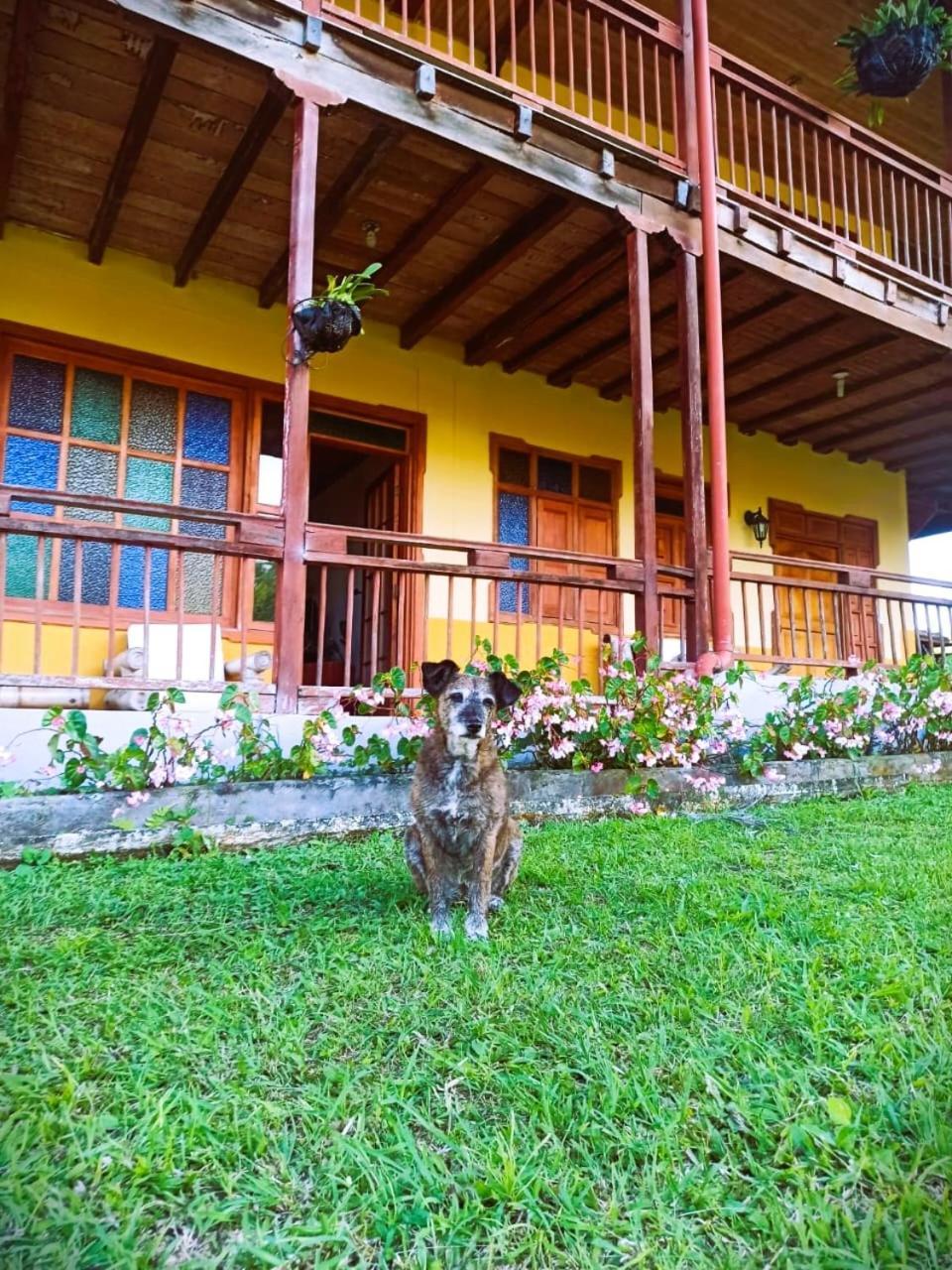 Filandia - Finca Rural La Guadalupana Hotel Buitenkant foto