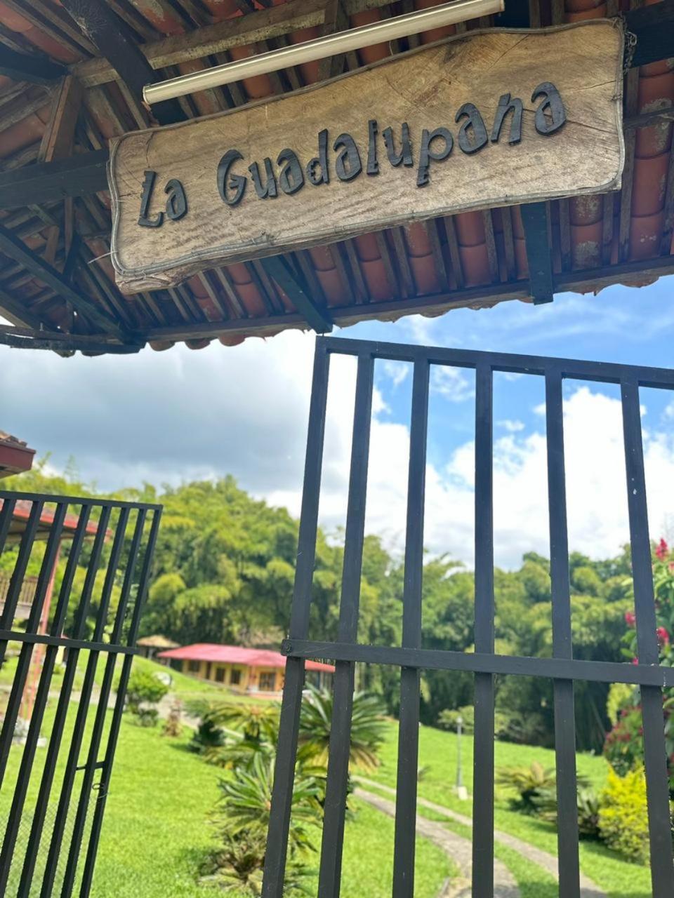 Filandia - Finca Rural La Guadalupana Hotel Buitenkant foto