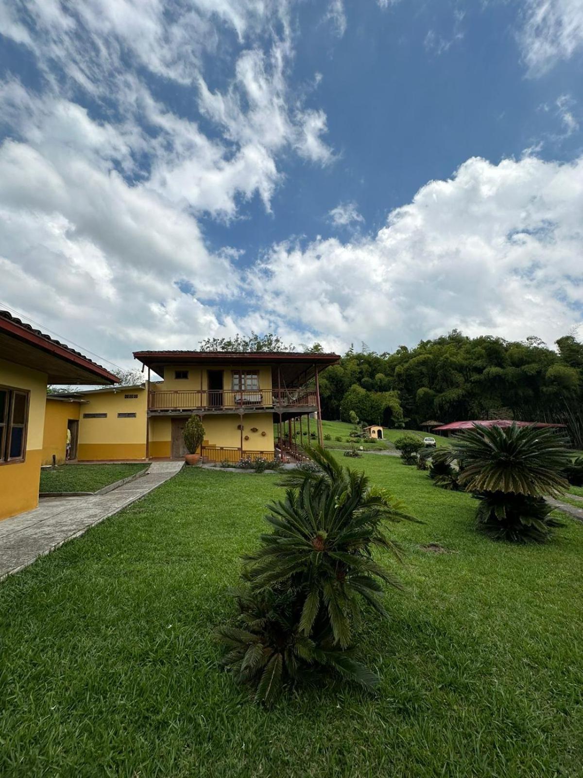 Filandia - Finca Rural La Guadalupana Hotel Buitenkant foto