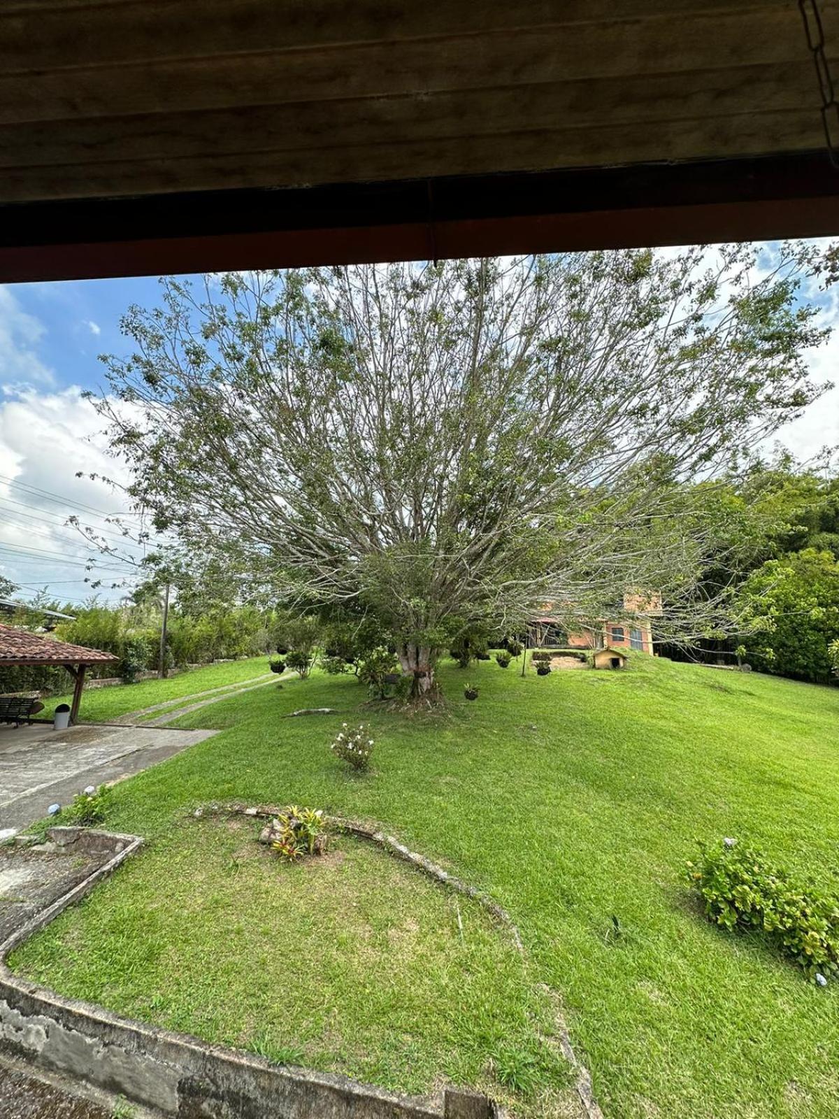 Filandia - Finca Rural La Guadalupana Hotel Buitenkant foto